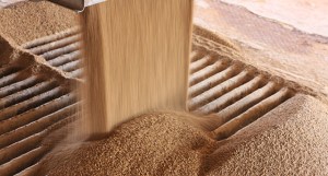 Fertilizer Page