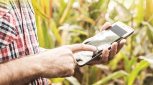 grain-management-promo