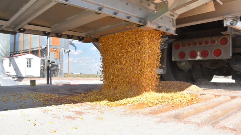 Preparing for Harvest